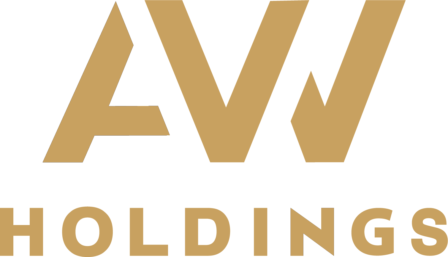 AVV Holdings
