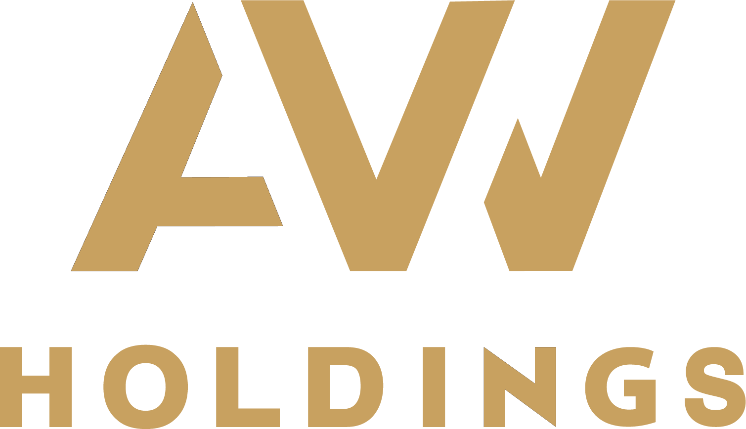 avv.holdings.cz